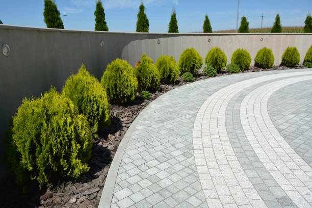 Best Luxury Driveway Paving Solutions in Rlsbad, CA